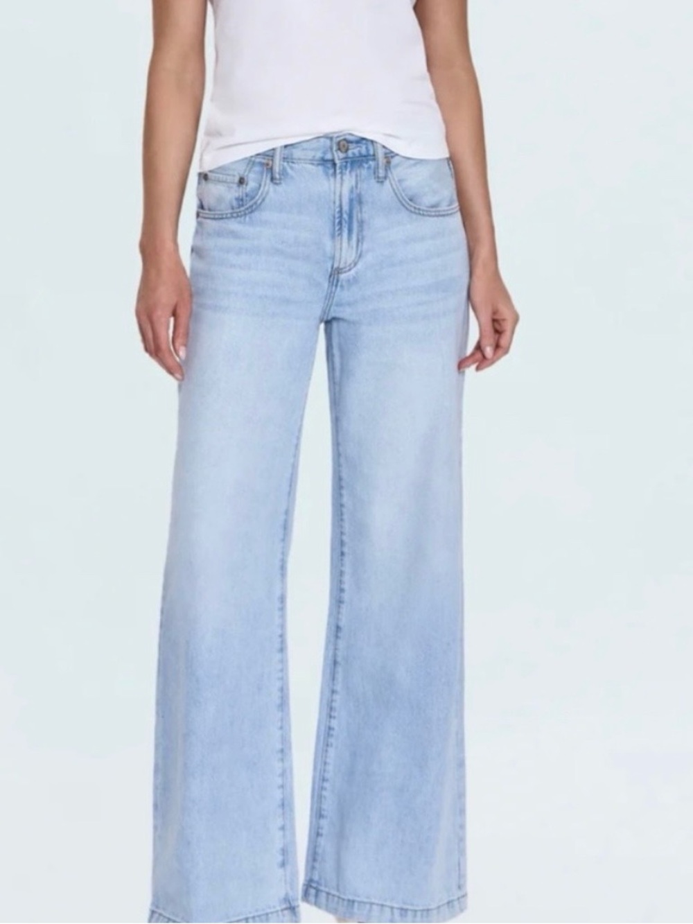 Pistola Jeans Jadyn Low Slung
Palazzo Size 26 Wide Leg